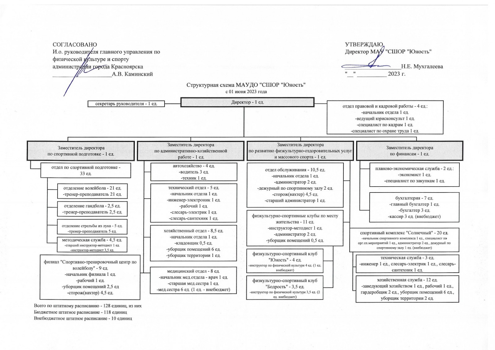 Структура и органы управления спортивной организации